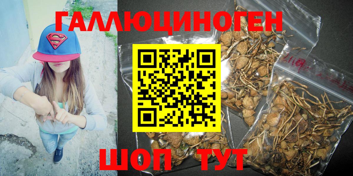Сергиев Посад  Псилоцибиновые грибы Psilocybine cubensis  Псилоцибиновые грибы Psilocybine cubensis  где купить наркоту  Вход с VPN 